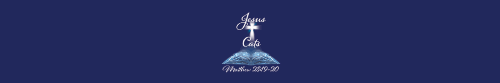 Jesus Cats Banner